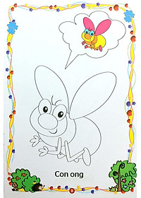 product-img-5