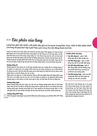 Sách Lò Xo - 15 Phút Tập Lưng (Kèm 1 DVD)