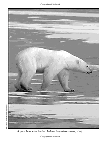 Sách What Is Climate Change?