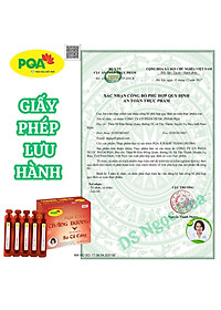 Ích Khí Thăng Dương PQA Giúp Điều Bổ Tì Vị, Hỗ Trợ Giảm Các Triệu Chứng Sa Tử Cung, Trĩ Hộp 10 Ống