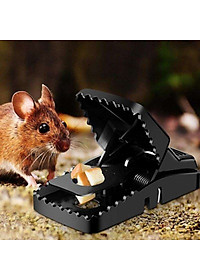 Kẹp Bẫy Bắt Chuột Thông Minh