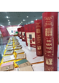 Combo ĐẠI NAM THỰC LỤC - 10 TẬP (Gồm 3 Boxes Bìa Cứng)