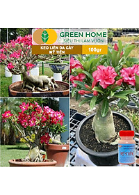 Keo Liền Sẹo Cho Cây Greenhome, Mỹ Tiến, Chai 100gr, Liền Nhanh Vết Cắt Da Cây, Chiết Cành, Tạo Dáng Bonsai, Lan, Kiểng