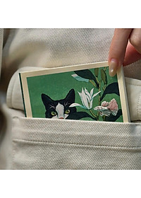 product-img-5
