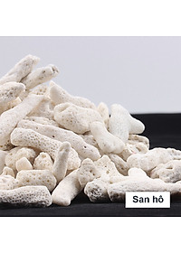 1Kg Vật liệu lọc hồ cá: bông 8D, men vi sinh hồ cá PSB 100ML cao cấp