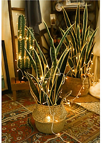 product-img-9