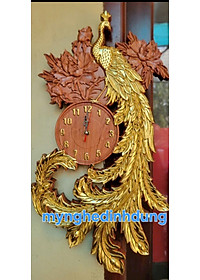 product-img-5