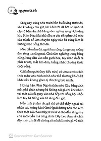 product-img-8