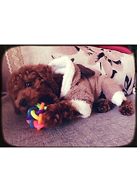 product-img-4