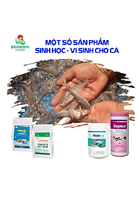 Vemedim Anti-fungi cá đặc trị nấm thủy mi, nhiễm khuẩn mang, nấm trong môi trường ao nuôi, chai 100ml