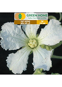 Hạt Giống Bầu Hồ Lô Greenhome, Gói 1g, Dễ Trồng Quanh Năm, Nảy Mầm Cao, Thu Hoạch Nhanh, Năng Suất Cao T11