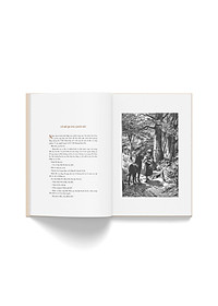 product-img-6
