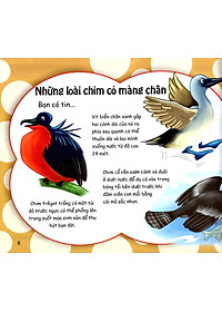 Sách Những Điều Kỳ Thú - Thú Vị Các Loài Chim