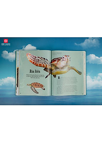 product-img-8