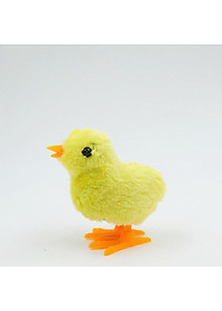 product-img-7