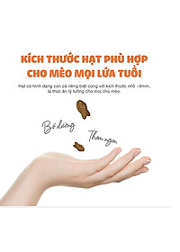 product-img-3