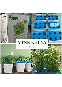 Bộ 1 chậu trồng rau ăn lá thủy canh tĩnh Growbox Leafy Kit 1 Hợp Trí Không bao gồm phân bón thủy canh
