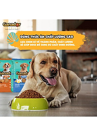 Thức ăn cho chó trưởng thành Ganador vị gà nướng - Adult Roasted Chicken Flavor Combo 5 gói 400gr/gói