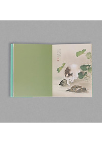 product-img-5