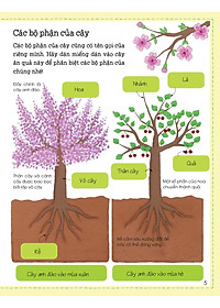 Sách Thế Giới Trong Tay Em - Sự Sinh Trưởng Của Vạn Vật