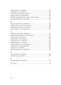 product-img-9