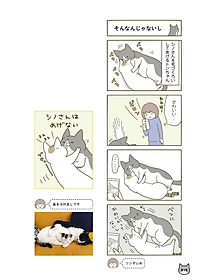 product-img-11