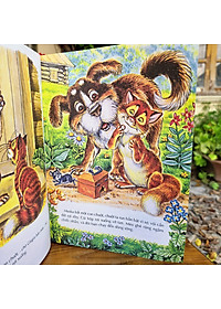 Sách Những Câu Chuyện Hay Nhất Về Mèo