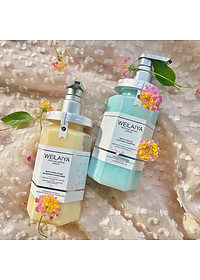 Combo Gội xả phục hồi đa tầng Nấm Truffle Weilaiya và Bộ dầu xả Gừng Hà Thủ Ô Weilaiya - Ngăn rụng tóc, sạch dầu, sạch gàu, giúp tóc mềm mượt