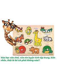 product-img-12