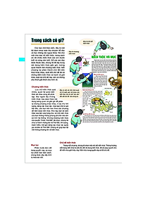 product-img-3