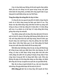 product-img-7