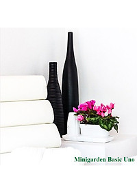 product-img-12