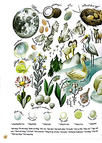 Sách Những Gam Màu Rực Rỡ Của Thiên Nhiên