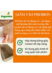 Bột Maca đen hữu cơ 100gr - Dragon Superfoods