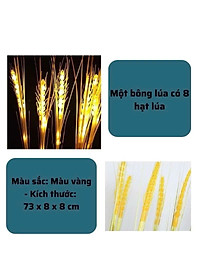product-img-5