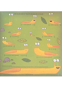 Sách Biết Tuốt Về Đo Lường