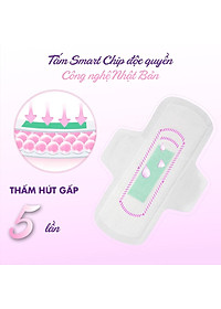 product-img-2