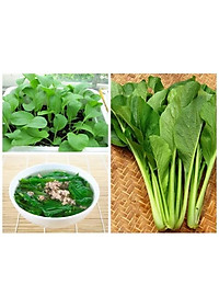 Hạt Giống Cây Rau Cải Ngọt - 20 Gram