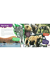 Sách Độc Lạ Phi Thường - Thú Con Bé Bỏng