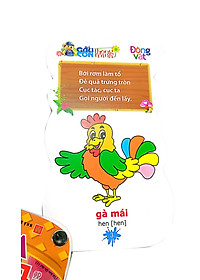 product-img-7