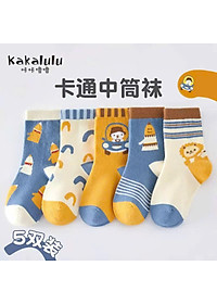 product-img-5