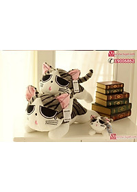 product-img-2