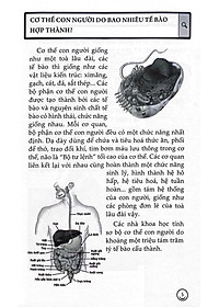 product-img-10