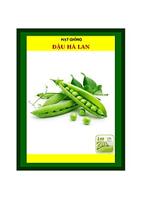 Hạt Giống Đậu Hà Lan 50 Gram Rạng Đông