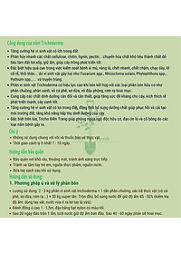 Chế phẩm men vi sinh nấm Trichoderma loại 1kg mã PM027. ĐIỀN TRANG - TRICHO 1000G