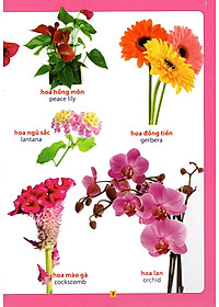 Sách Từ Điển Bằng Hình - Hoa, Quả, Rau, Củ