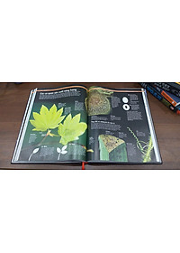 product-img-9