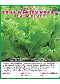 Hạt giống Cải bẹ Mào Gà - Cải bẹ vàng VTS159