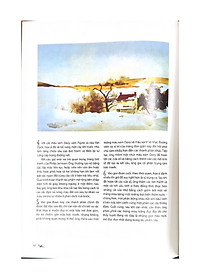 product-img-8
