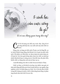 product-img-14